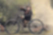 A bicycling ape named Peter Kafka Prager Tagblatt A Report for an Academy