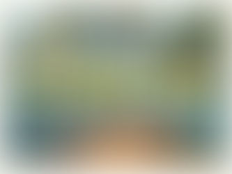 island life for summer 2026