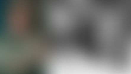 Political prisoners and concentration camps in a USA under Democratic rule