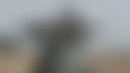 Money, threats, and military power