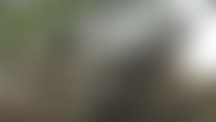 Artillery is breaking in Ukraine