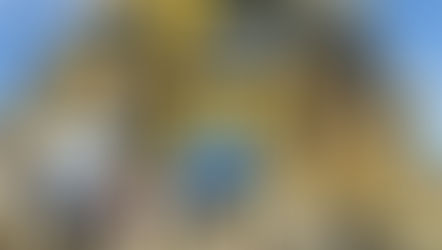 Ukraine’s neo-Nazis | What you need to know about them