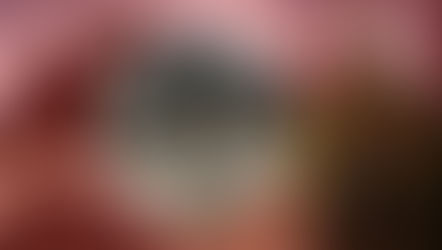 The return of the iron fist: Germany’s march toward re-nazification