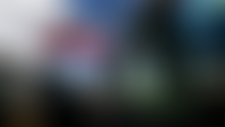 The Netherlands - A people’s revolt against eco-tyranny