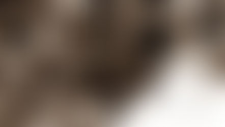 Where were you when we needed you most in Ukraine?