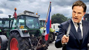 Dutch PM Mark Rutte backstabbing the farmers