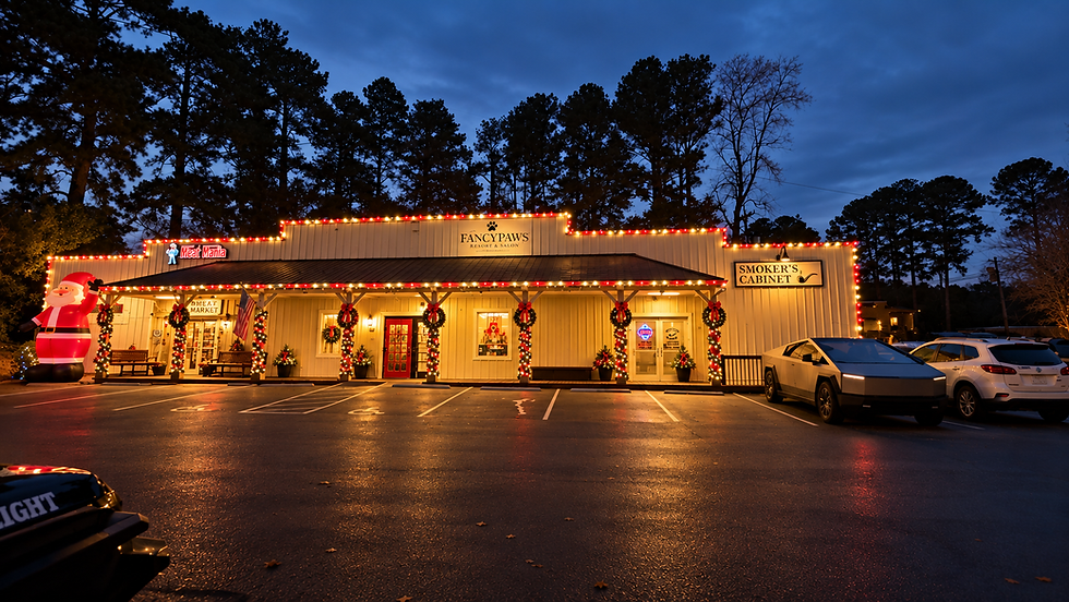 Commercial building decorated with warm white Christmas roofline lights