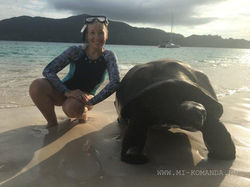 знакомство с черепахами на острове Курьез