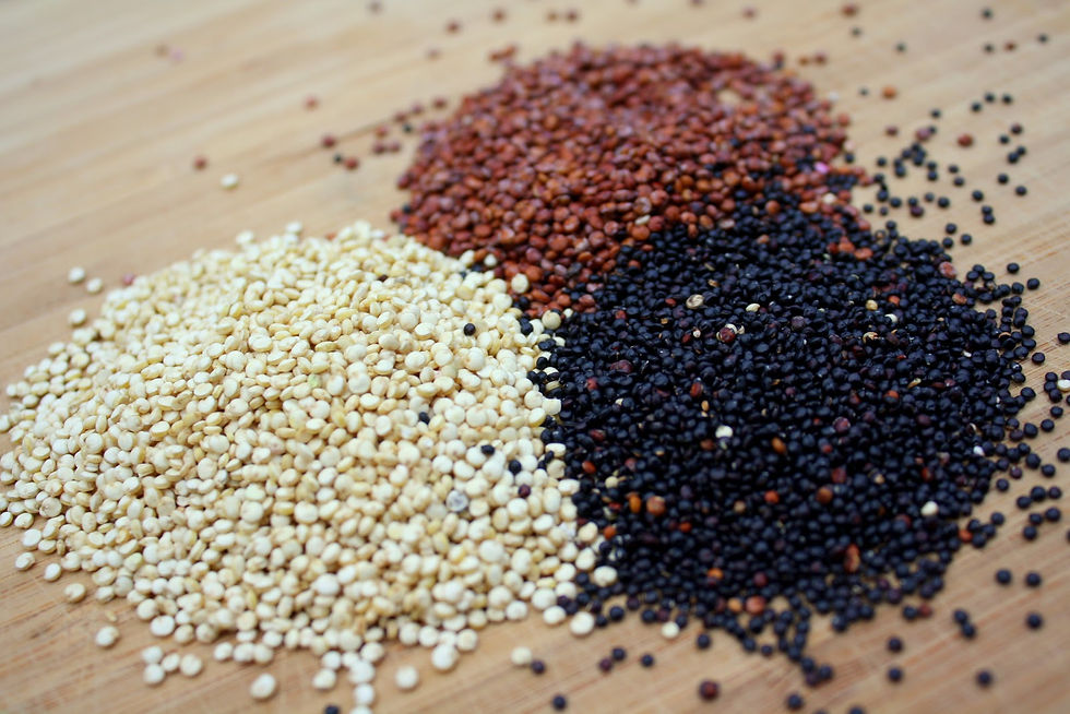 Tri-coloured Quinoa