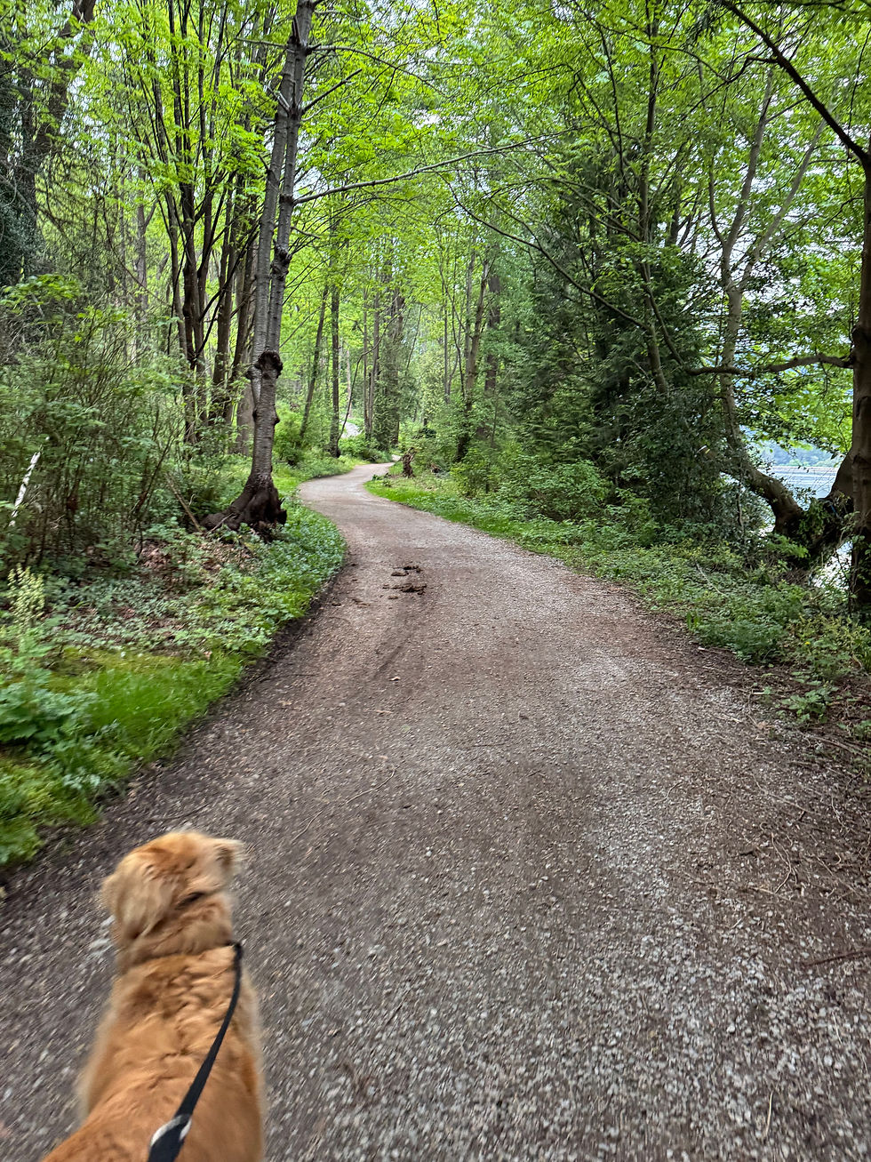 Stanley Park Bridle Path