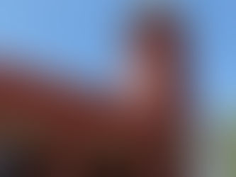 Day 6: Bedi's Bike Route