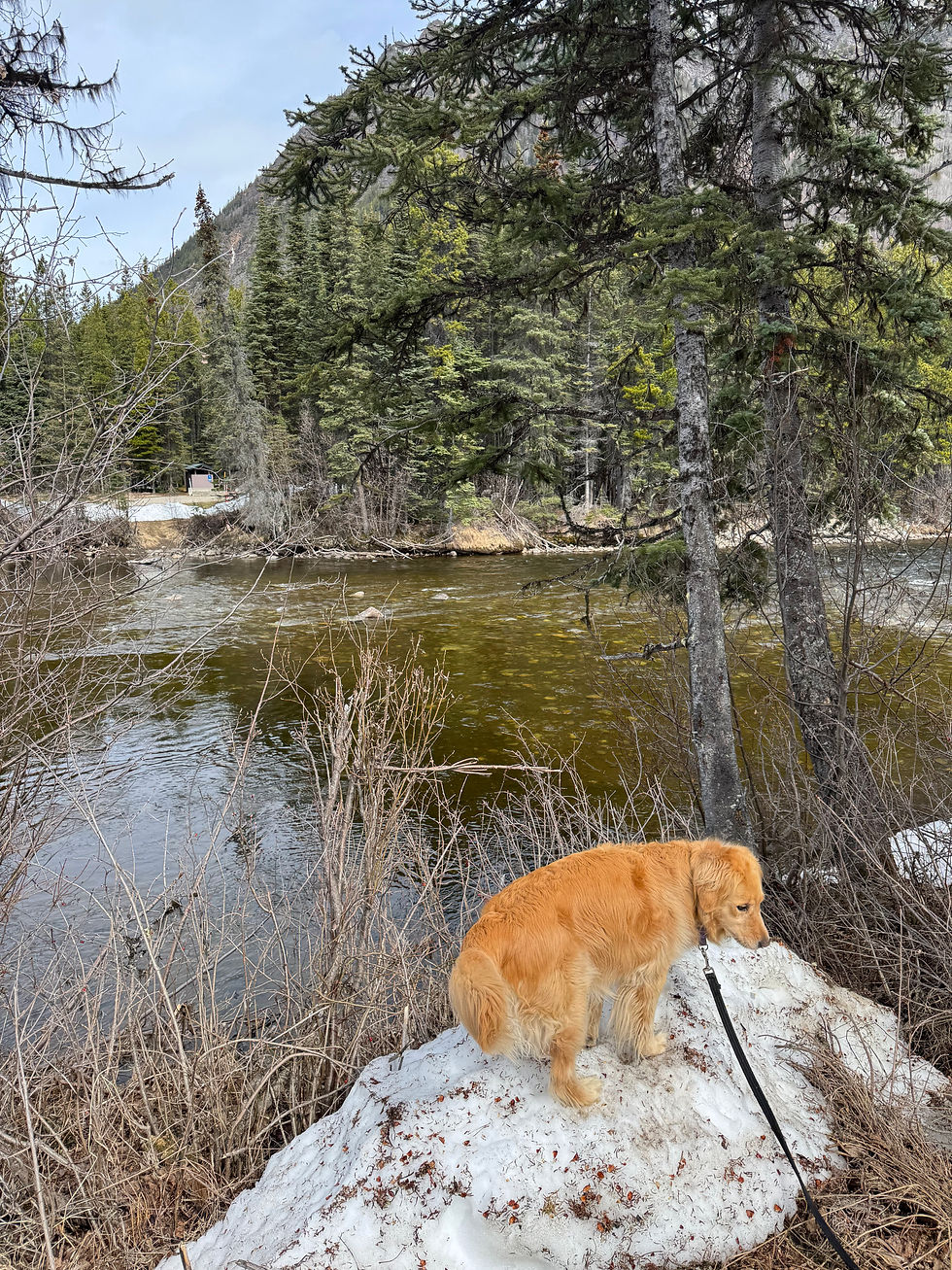 Rest stop