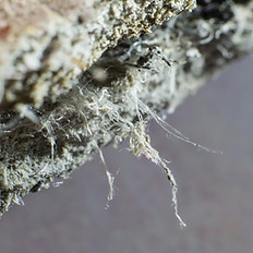 asbestos negative pressure unit testing.jpg