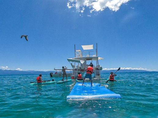 Catamaran and lillypad
