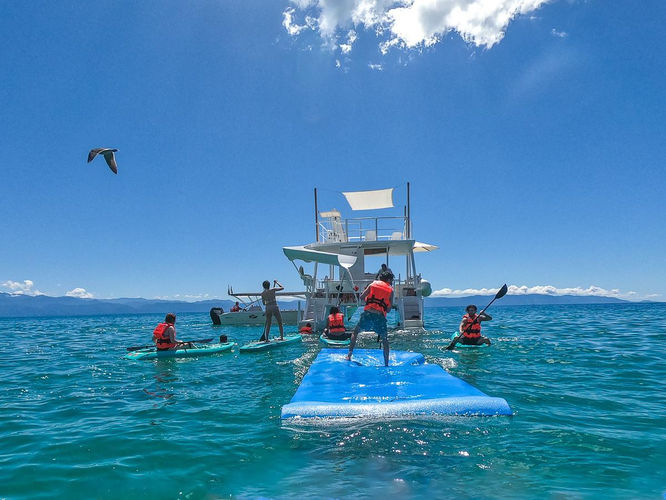 Catamaran and lillypad
