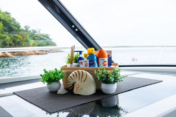 Luxury yacht rental in Nuevo Vallarta