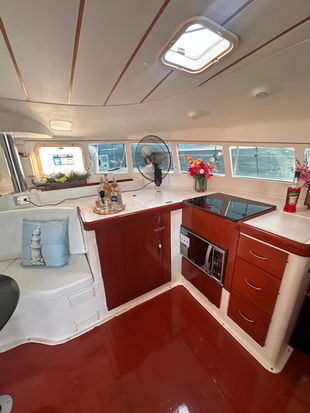 41' catamaran rental in Puerto Vallarta