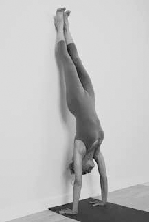 Colleen Saidman Yee, Yoga.