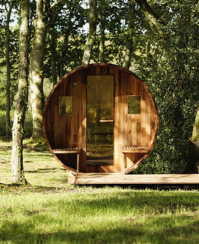 SAUNA_edited.jpg