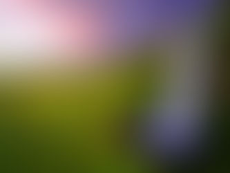 沟通的艺术(基于非暴力沟通)6周系列课 – 舒展之旅 (2020年12月-2021年1月)