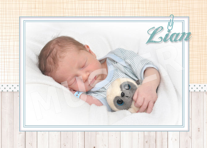 Babybücher