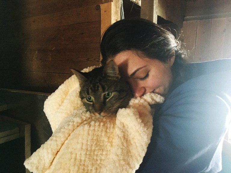 A Spring Barn Update