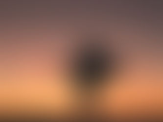 Reclaiming Your Sexuality from a Sexualized World