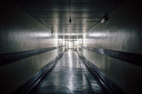 The 7th Floor