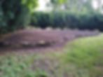 Landscaping Project finish pic 2