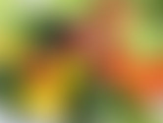 野菜嫌いも克服できる!?『やさいの絵本』を読もう♪