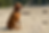 IMG_6889.png