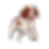 benny (1).png