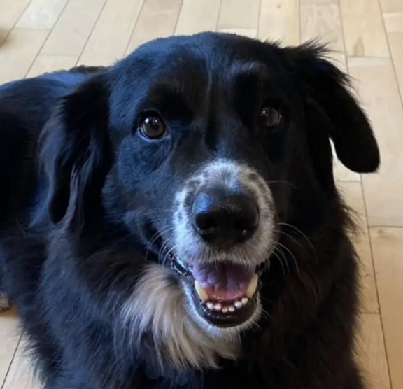 Screenshot 2025-11-06 at 2.46.02 PM.png