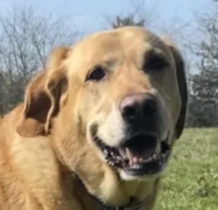 Screenshot 2025-11-06 at 2.59.44 PM.png