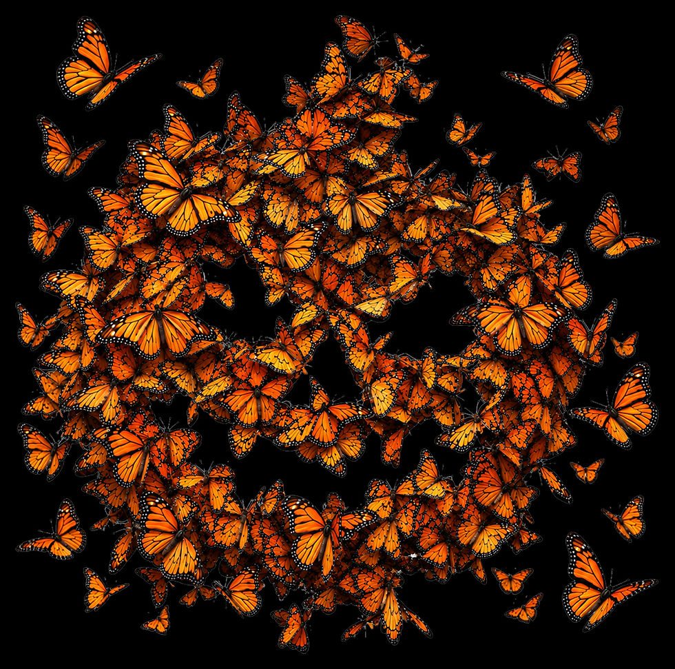 Thumbnail: Bones & Butterflies Hoodie