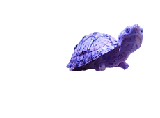 32.png