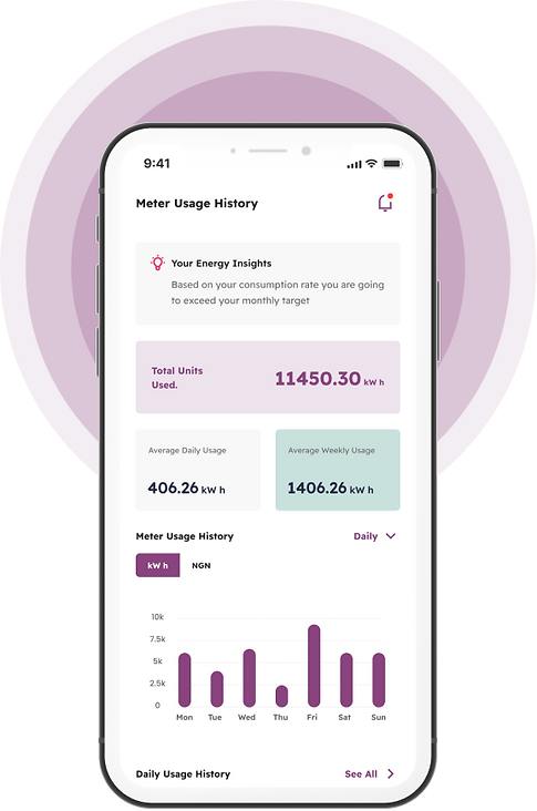 View your Meter Usage History and understand your Usage & Savings in Money!