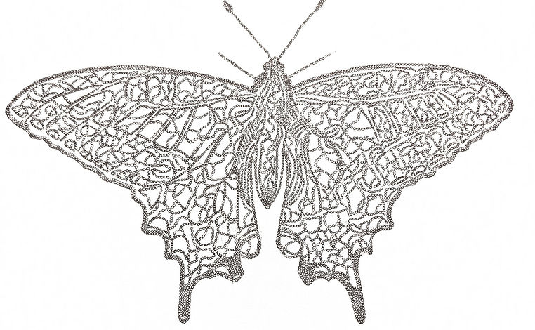 escaneig_20251111-2122.jpg