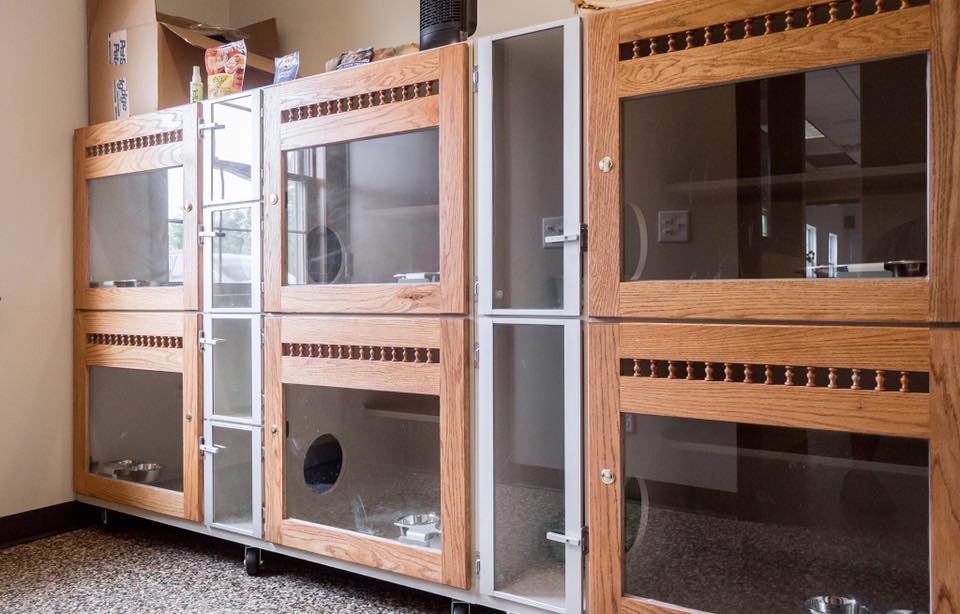 Canine Kennels of Clarence