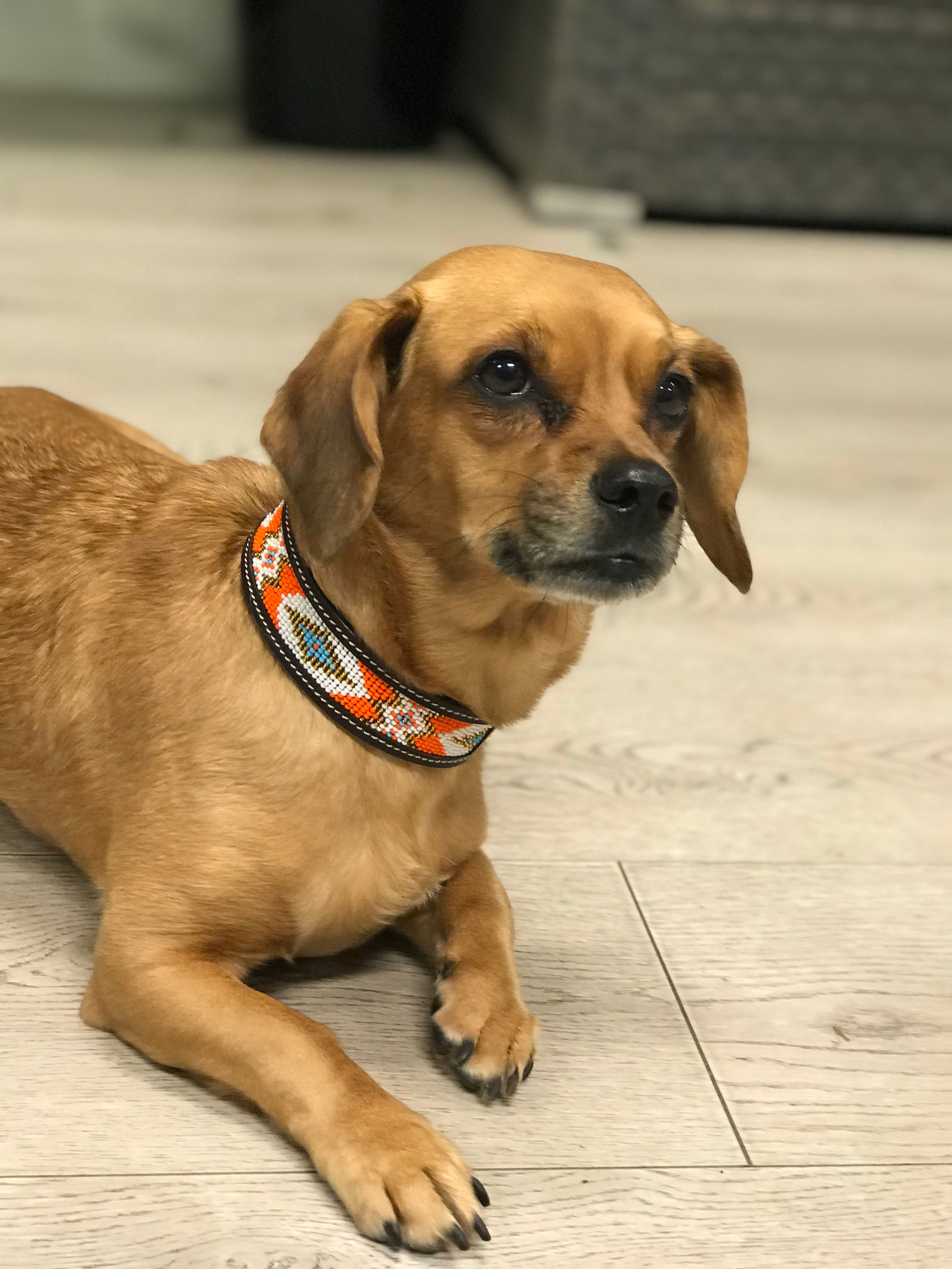 Mimmis halsbånd orange.