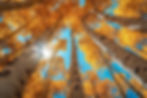 AdobeStock_1007415731.jpeg