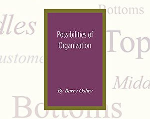 PossibilitesOfOrganization.jpg