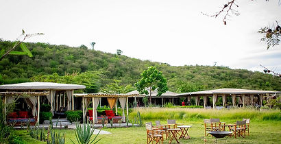 Zebra Plains Mara Camp