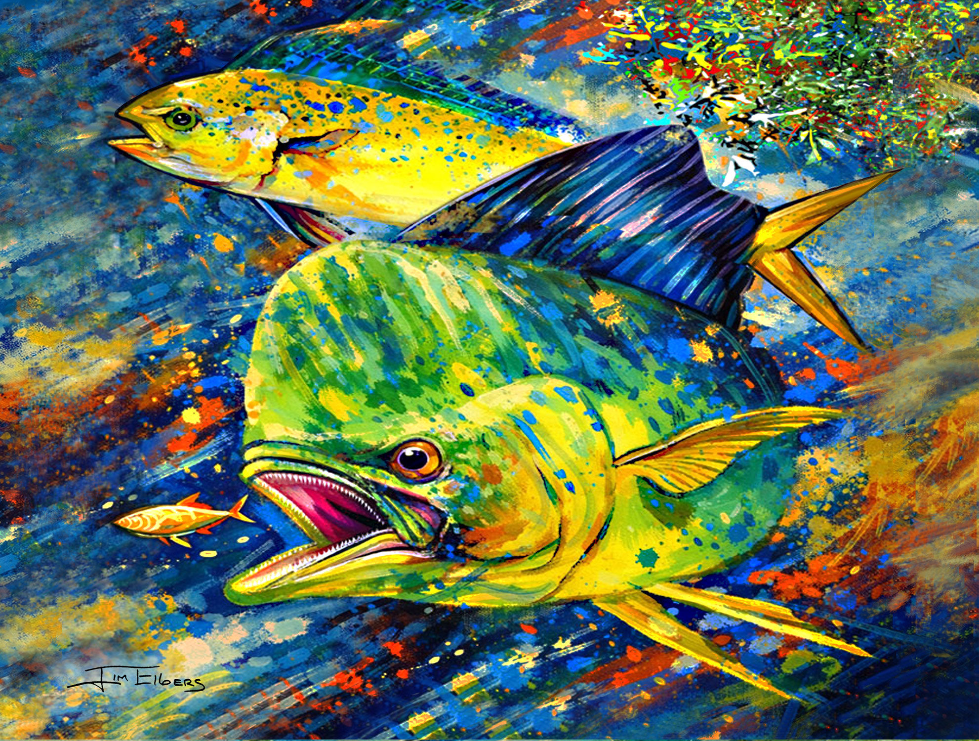 Mahi-Frenzy SL-MFS colorful underwater mahi-mahi painting