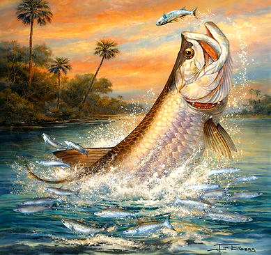 Tarpon Creek Header.png