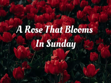 Doctor Who NSFW FanFic - Ruby Sunday and Rose Noble in A Rose That Blooms in Sunday