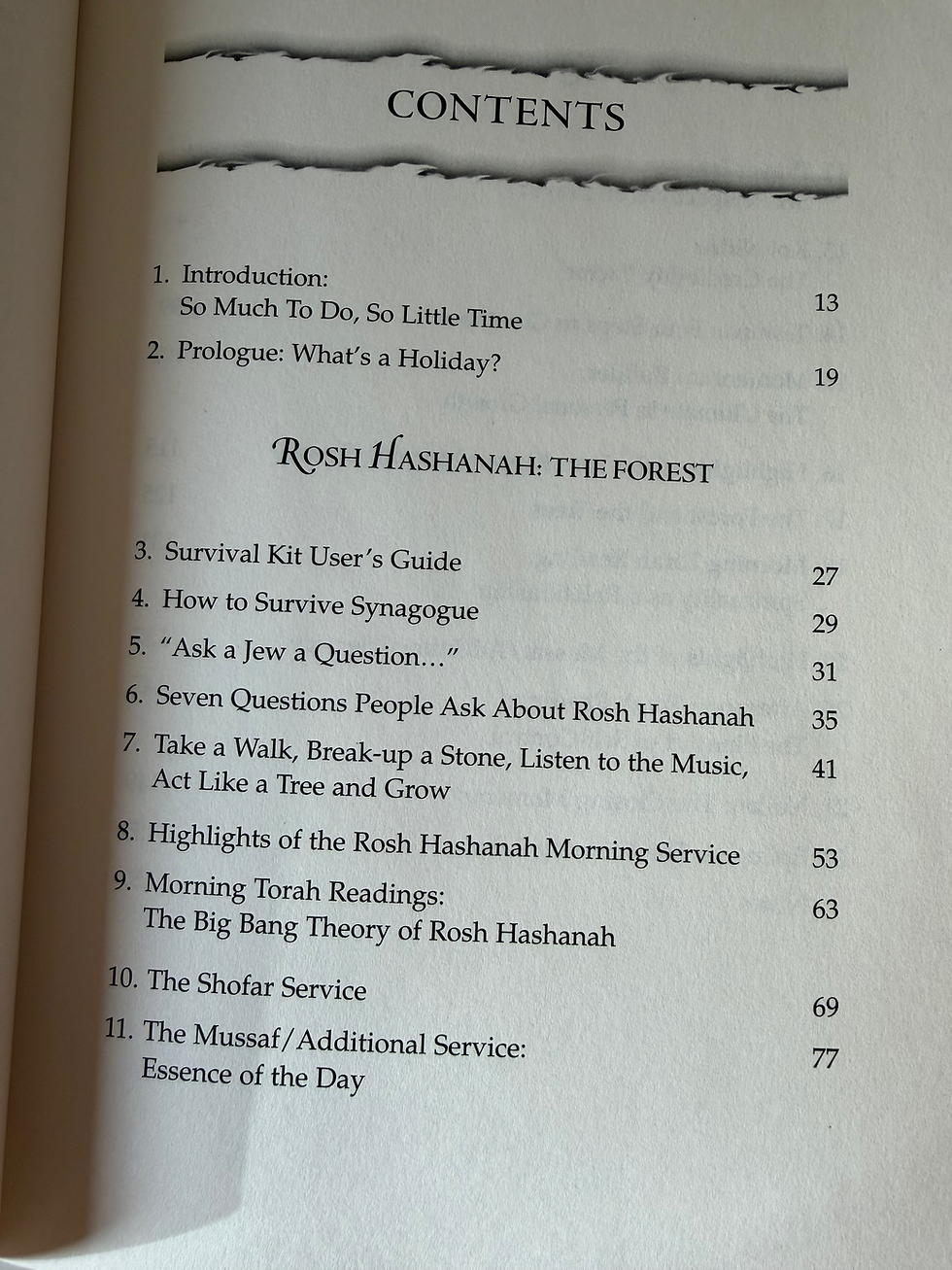 Thumbnail: Rosh Hashanah Yom Kippur Survival Kit Book By Shimon Apisdorf