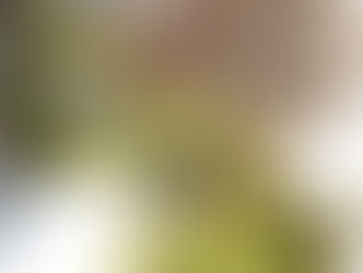 日々の生活は厳しくなる一方です。