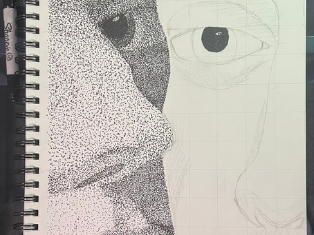What are you working on?