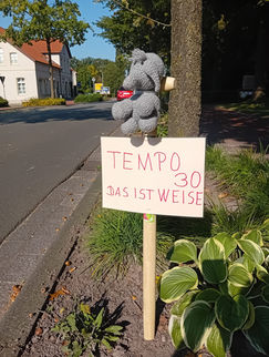 Tempo 30, das ist weise
